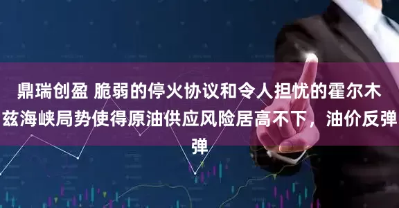 鼎瑞创盈 脆弱的停火协议和令人担忧的霍尔木兹海峡局势使得原油供应风险居高不下，油价反弹